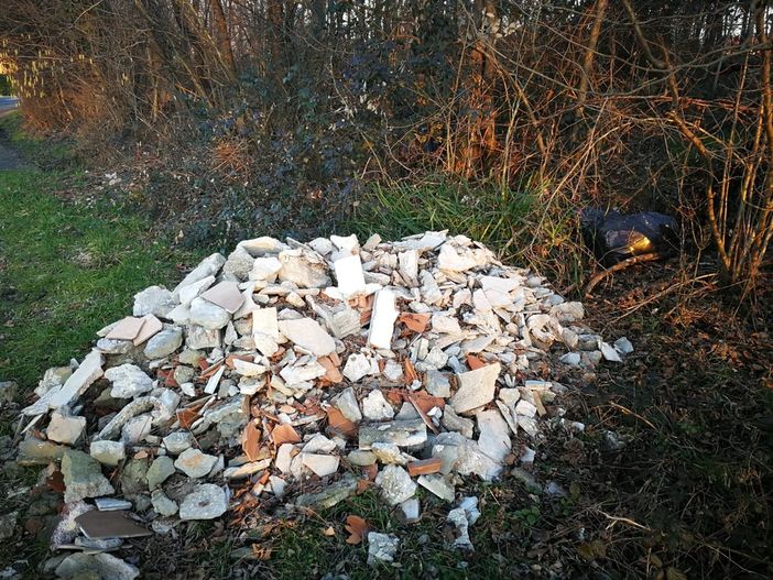 I rifiuti abbandonati nel boschetto vicino al campo sportivo comunale di Bardello I rifiuti abbandonati nel boschetto vicino al campo sportivo comunale di Bardello