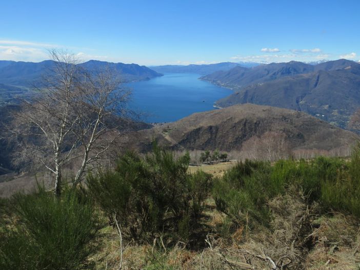 Nelle Valli del Verbano parte il progetto "Bosco Clima" contro gli incendi, le frane e la perdita di biodiversità