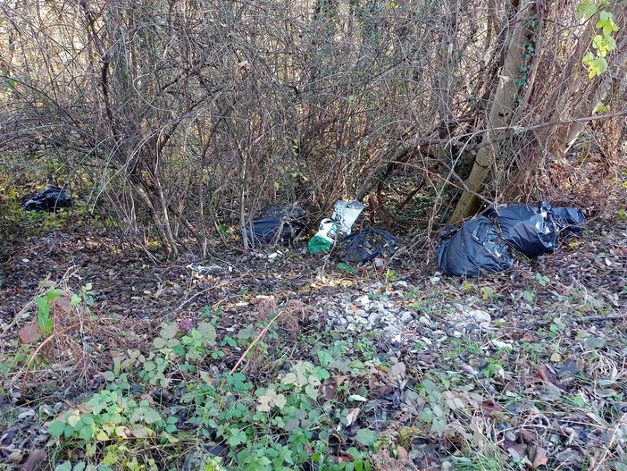 Rifiuti abbandonati nei boschi lungo la 394 a Casalzuigno (foto da Facebook Amo Madre Terra)