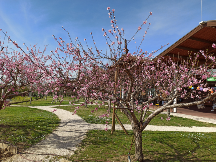 A FICO una "sosta gustosa" per scoprire tutta l’Italia del cibo tra attrazioni, eventi e giardini urbani