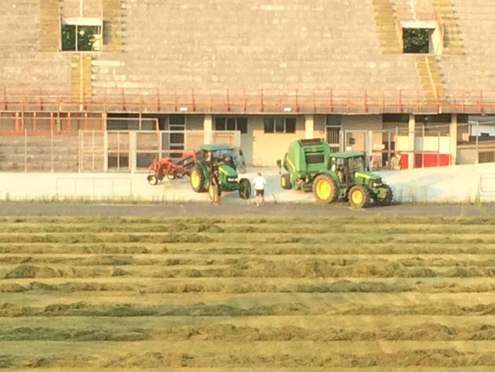 Dietro a quel fieno del Franco Ossola una bella storia: «Lo riempiremo di vita e ragazzi» Dietro a quel fieno del Franco Ossola una bella storia: «Lo riempiremo di vita e ragazzi»