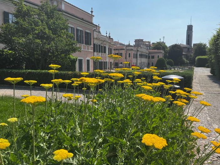 Offerta di lavoro dal Comune di Varese: Palazzo Estense cerca un geometra a tempo pieno