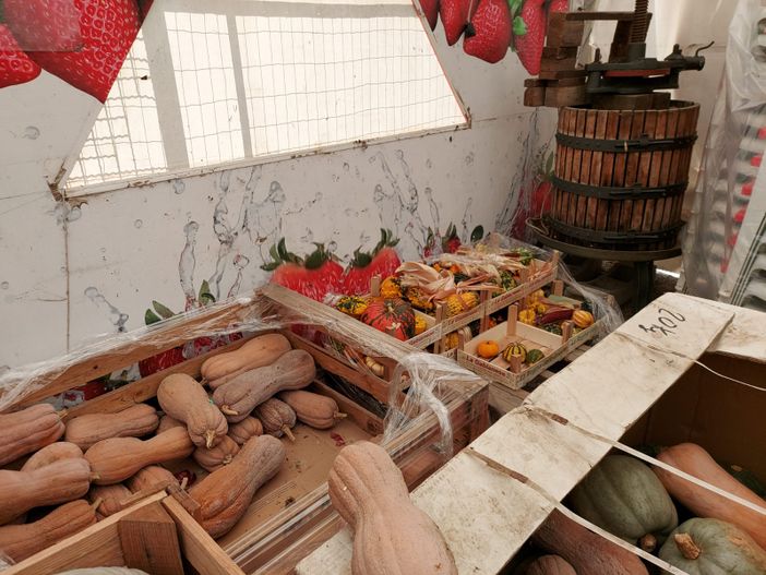 La zucca sarà la regina della festa della Pro Loco sul lungolago di Gavirate nelle prime quattro domeniche di ottobre La zucca sarà la regina della festa della Pro Loco sul lungolago di Gavirate nelle prime quattro domeniche di ottobre