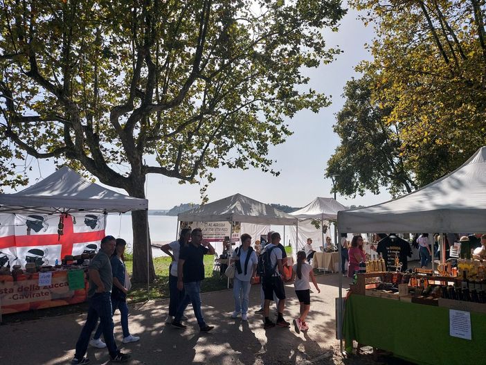 Cala il sipario su una Festa della Zucca da record per Gavirate: migliaia i partecipanti ma il vero spettacolo sono gli infaticabili volontari della Pro Loco Cala il sipario su una Festa della Zucca da record per Gavirate: migliaia i partecipanti ma il vero spettacolo sono gli infaticabili volontari della Pro Loco