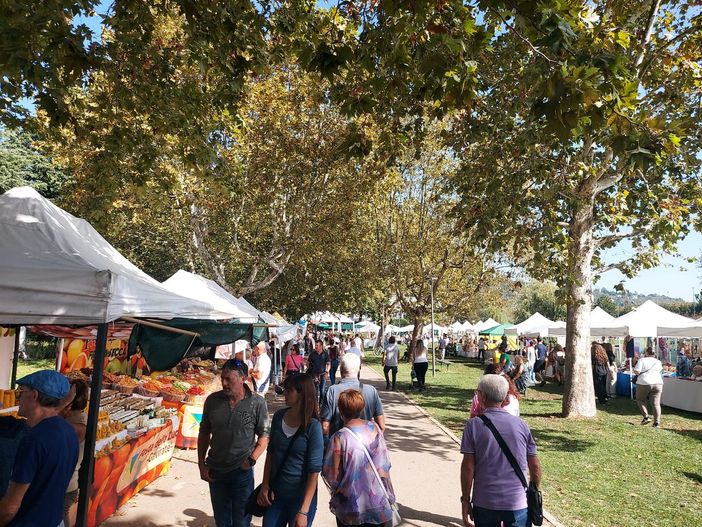 Alcuni scatti della Festa della Zucca sul lungolago di Gavirate di domenica 8 ottobre Alcuni scatti della Festa della Zucca sul lungolago di Gavirate di domenica 8 ottobre