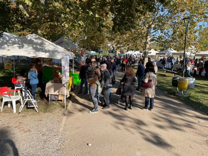 A Gavirate la Festa della Zucca ha battuto Covid e paure: a vincere è stata la voglia di stare insieme A Gavirate la Festa della Zucca ha battuto Covid e paure: a vincere è stata la voglia di stare insieme