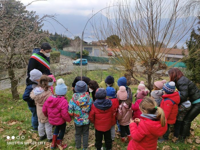Germignaga, il sindaco e i bambini della materna piantano quattro ulivi