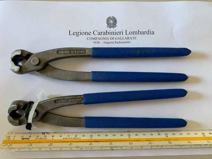 Rubano una bicicletta, ma non sfuggono all'occhio di un cittadino che li fa arrestare Rubano una bicicletta, ma non sfuggono all'occhio di un cittadino che li fa arrestare