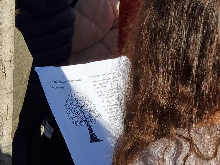 Nuovi alberi di frassino e sorbo per la primaria di Angera
