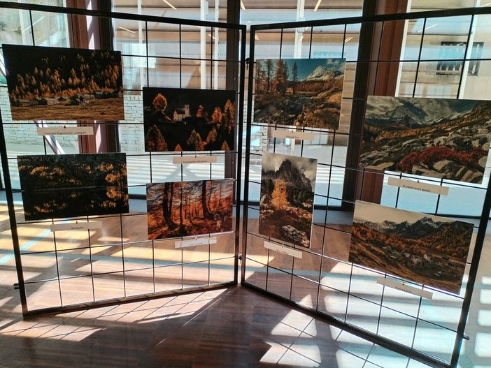 Luca, natura e cuore in mostra a Induno Olona Luca, natura e cuore in mostra a Induno Olona