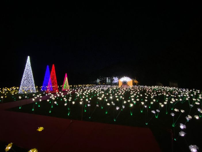 A Leggiuno le Lucine di Natale continuano a brillare anche di sostenibilità A Leggiuno le Lucine di Natale continuano a brillare anche di sostenibilità