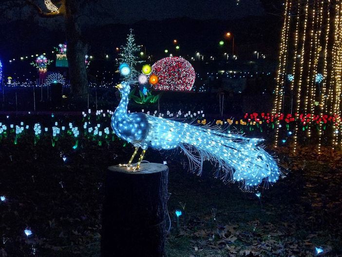 Le lucine di Laveno "illuminano" tutta la città e fanno sognare gli innamorati