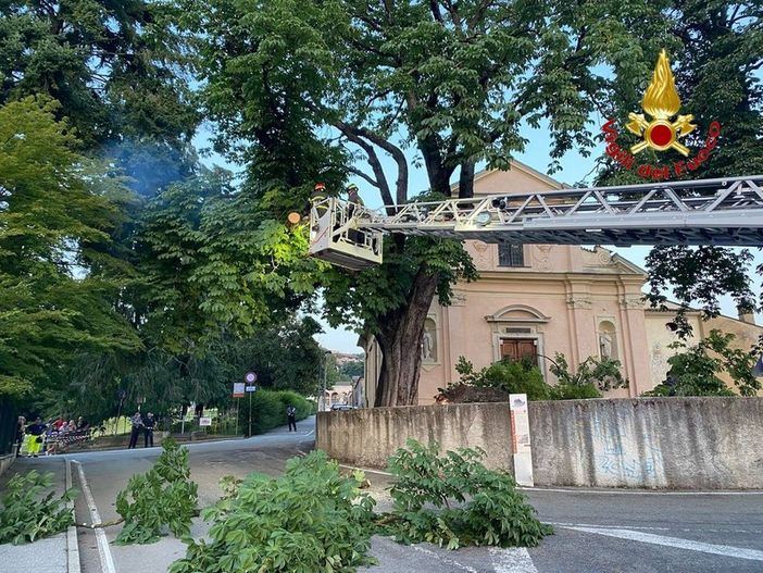 Albero crollato a Luino, sotto sequestro l'area davanti alla chiesa: le indagini dei carabinieri