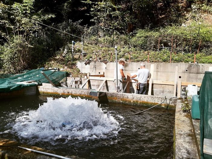 Foto dalla pagina Facebook Impegno Civico