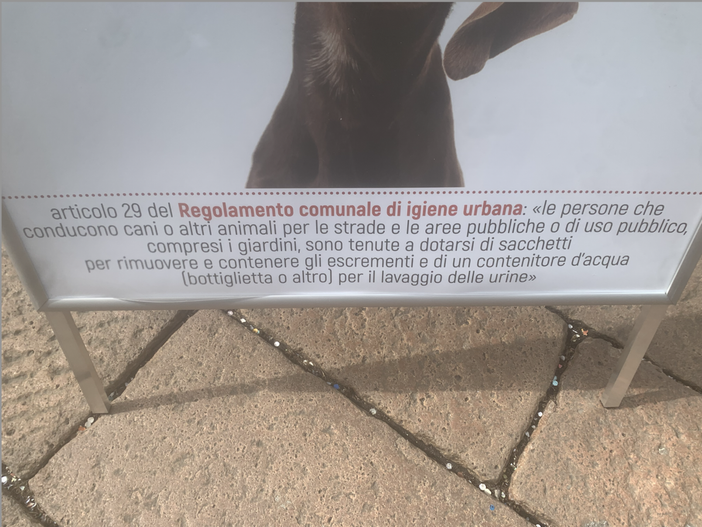 «Prendetevi cura del vostro cane, ma anche della vostra città» «Prendetevi cura del vostro cane, ma anche della vostra città»