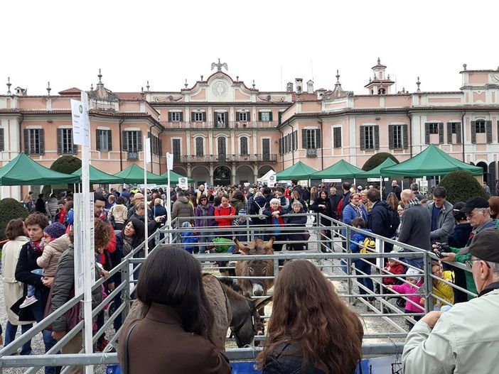 Brianza (Lega): «AgriVarese ad Angera? La Città Giardino ha perso un'occasione»