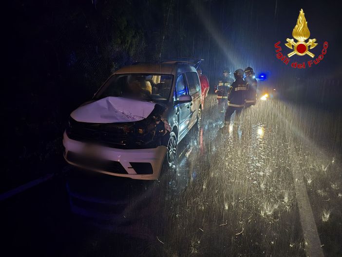 Maltempo: pianta cade su un'auto in transito sulla statale 394, paura per i tre occupanti Maltempo: pianta cade su un'auto in transito sulla statale 394, paura per i tre occupanti