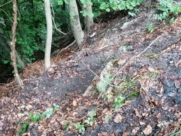 Inquinamento al Campo dei Fiori, Clerici (Varese Ideale): «Perché il Comune ha fatto un passo indietro dal coordinamento delle operazioni di bonifica?»