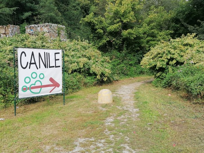 Il canile di Varese si sposta ai Duni di Bizzozero e sarà un moderno parco Il canile di Varese si sposta ai Duni di Bizzozero e sarà un moderno parco