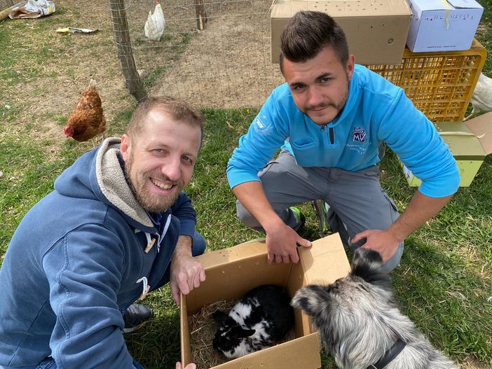 Simone De Martin dona al ventunenne Matteo Bissacca dei nuovi amici per la fattoria che sta crescendo nei prati di via Piana di Luco, tra Bizzozero e Schianno Simone De Martin dona al ventunenne Matteo Bissacca dei nuovi amici per la fattoria che sta crescendo nei prati di via Piana di Luco, tra Bizzozero e Schianno
