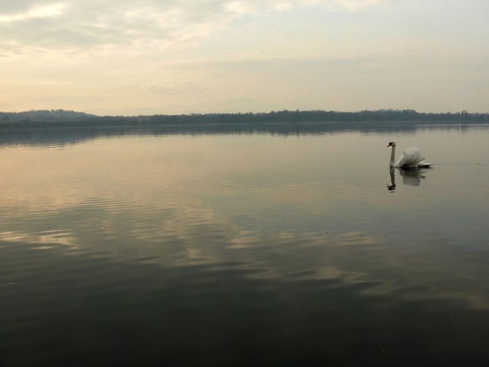 Esplode la primavera: oggi 16,7° la massima a Varese. Ma è solo l'inizio...