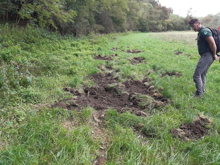 Cinghiali nel Parco Valle del Lanza: via al progetto di Citizen Science