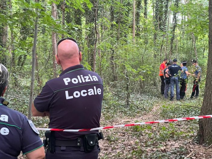 Conservazione e sviluppo: la sfida in via Curtatone. Il futuro del boschetto resta incerto Conservazione e sviluppo: la sfida in via Curtatone. Il futuro del boschetto resta incerto