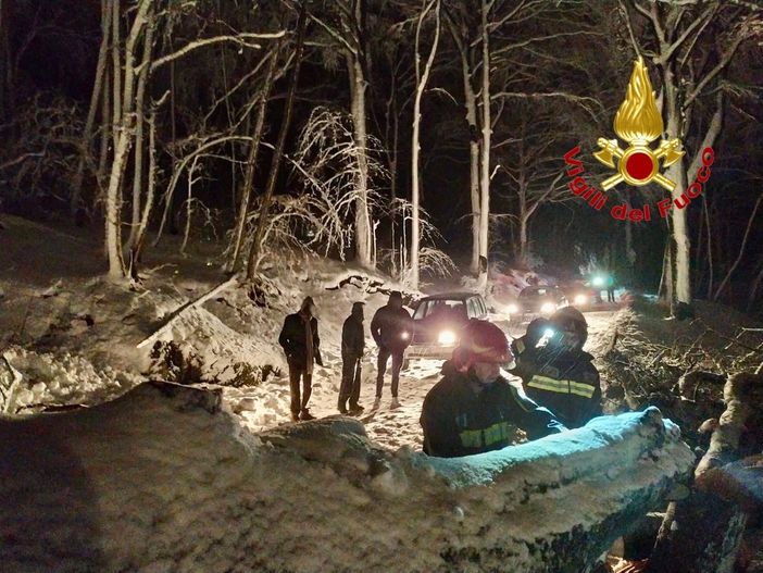 La neve fa crollare un albero sulla strada per il Campo dei Fiori e blocca una decina di auto