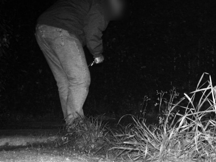 (foto di repertorio)