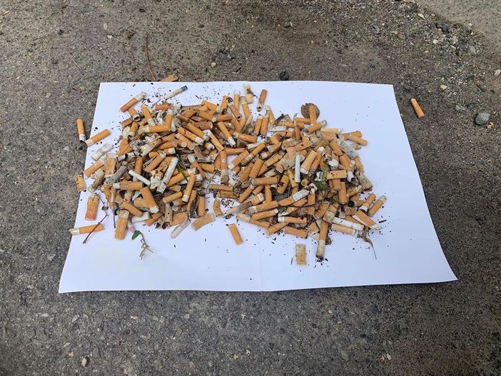 I mozziconi raccolti in un'ora di passeggiata