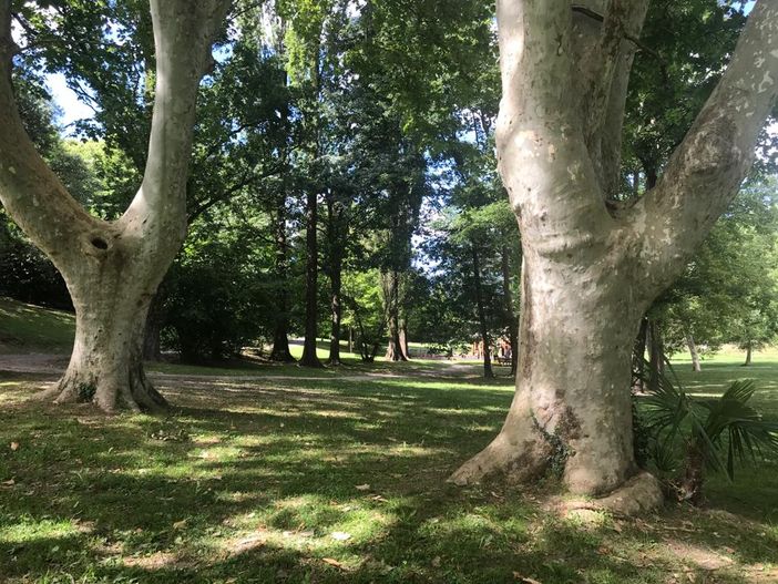Il “Giardino delle meraviglie” del parco di Villa Mylius diventa più grande