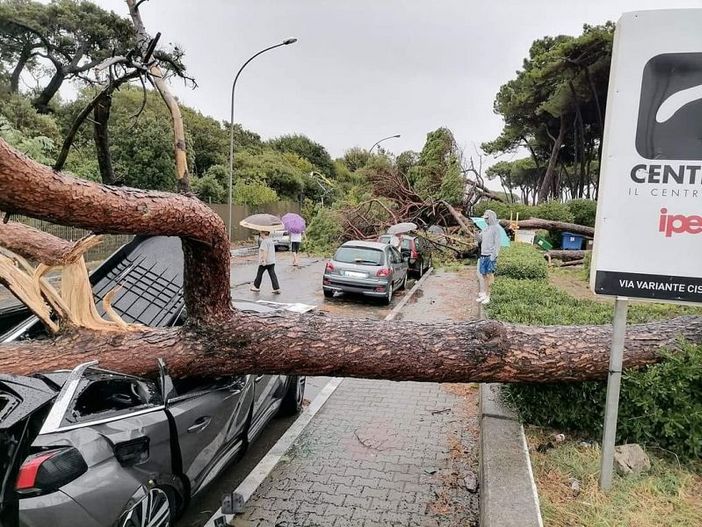 Foto tratte da Quinews.it