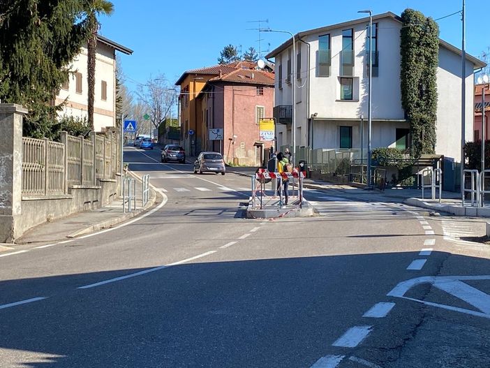 Incidente in viale Borri, Boldetti: «L'isola salva pedoni è pericolosa e inadatta»