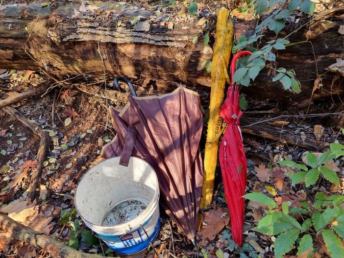 Noi per Sumirago: «Boschi di Quinzano tra pattume e bivacchi dello spaccio»