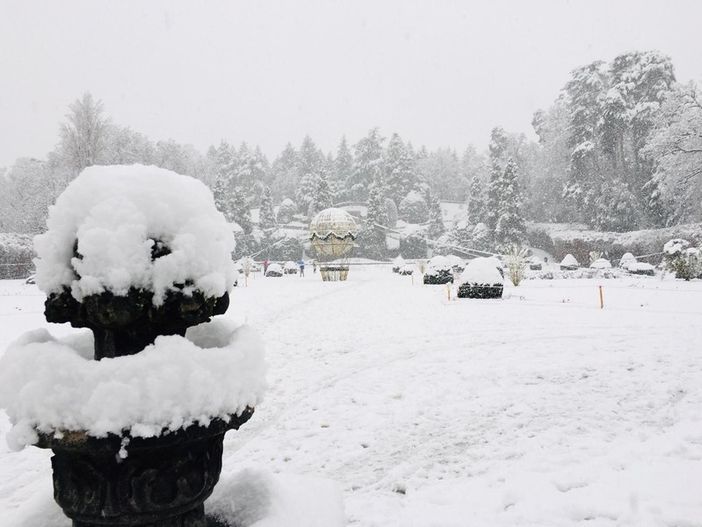Il Centro Geofisico: «Nell'ultimo ventennio nevicate come quella di ieri (27 centimetri) si verificano ogni 4-5 anni»
