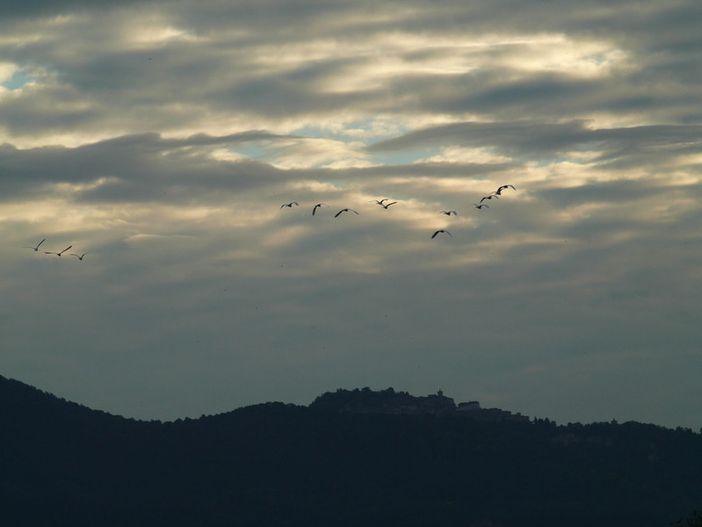 Domani qualche goccia, sabato Carnevale Bosino con sole e 15 gradi. Poi crollo termico e forse poca pioggia o neve