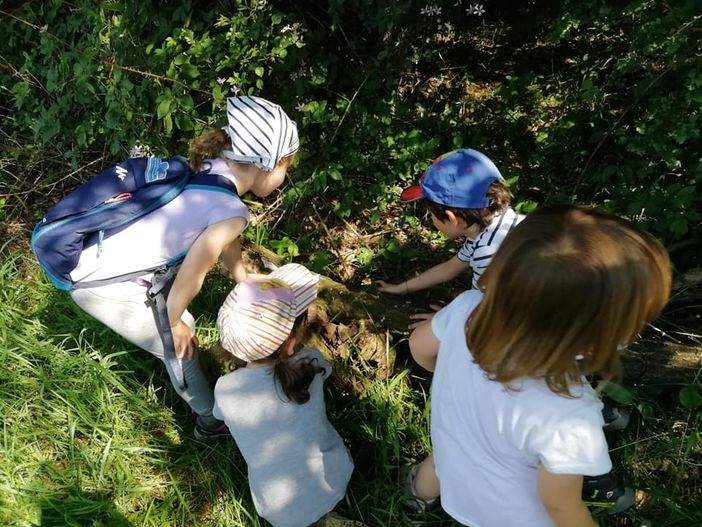 Dalla Regione 800mila euro per il potenziamento strutturale di Campo dei Fiori e Parco Pineta