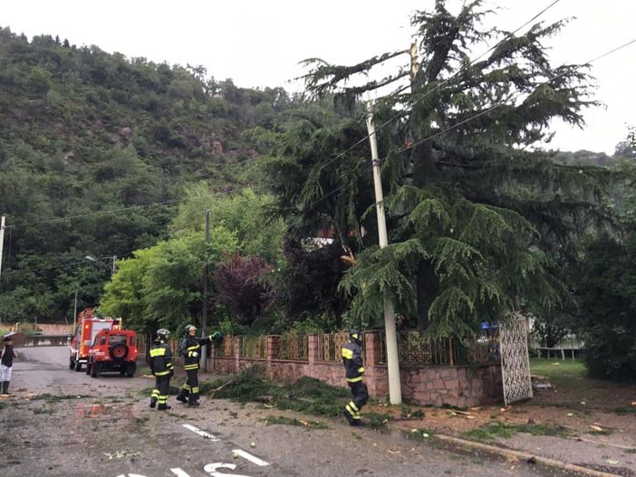 L'albero colpito da un fulmine a Porto Ceresio e i vigili del fuoco in azione (dal profilo Facebook di Marco Prestifilippo)