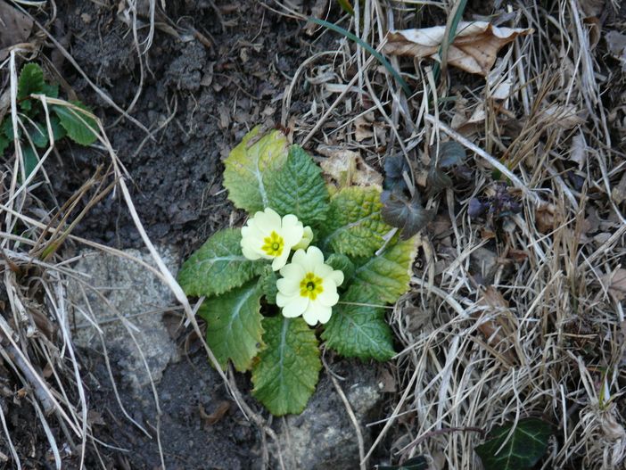 Sabato 18 gradi con vento, domenica 15... e lunedì notte arriva la pioggia