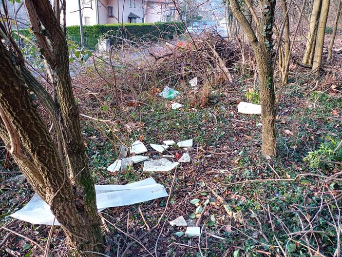 Foto di rifiuti abbandonati lungo la Statale 394 Foto di rifiuti abbandonati lungo la Statale 394