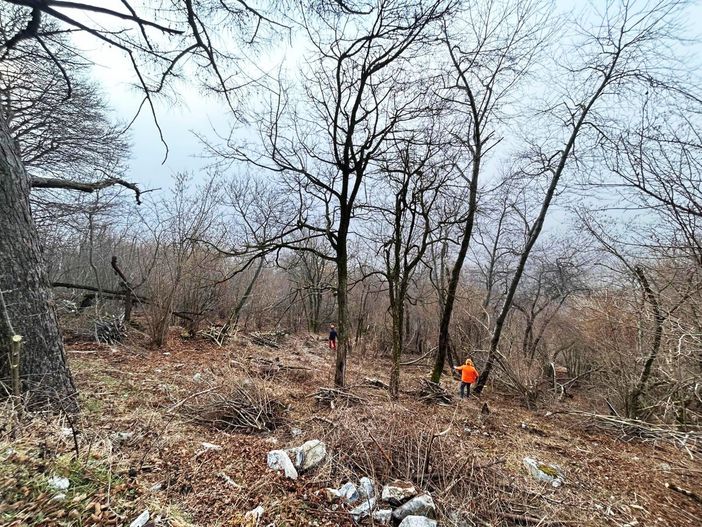 I cantieri forestali in corso sul versante sud del Campo dei Fiori a Luvinate