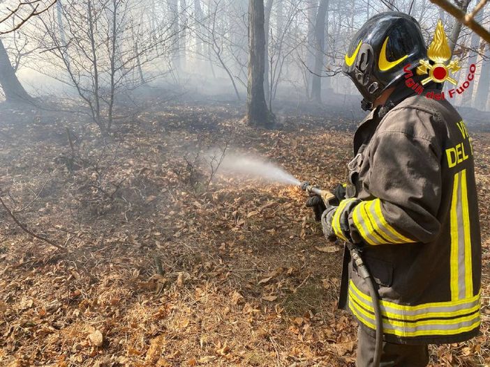 Al Brinzio l’incontro “Dove si semina il futuro” delle ASFO e delle foreste lombarde Al Brinzio l’incontro “Dove si semina il futuro” delle ASFO e delle foreste lombarde