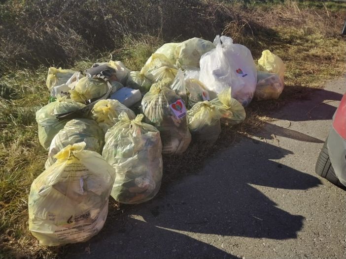 I volontari dell'associazione Amo Madre Terra in azione sulla Sp1 a Cocquio Trevisago