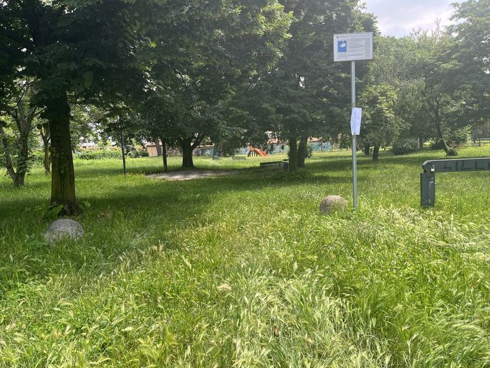 Sos verde pubblico, al via la nuova impresa a Castellanza