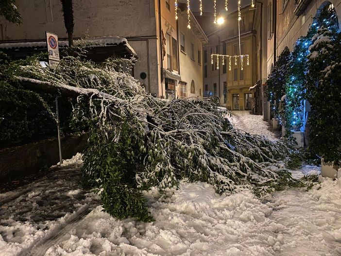 «Prima 4 metri di distanza, poi due e ora uno... E' il caos»: i bar di Varese resteranno chiusi «Prima 4 metri di distanza, poi due e ora uno... E' il caos»: i bar di Varese resteranno chiusi