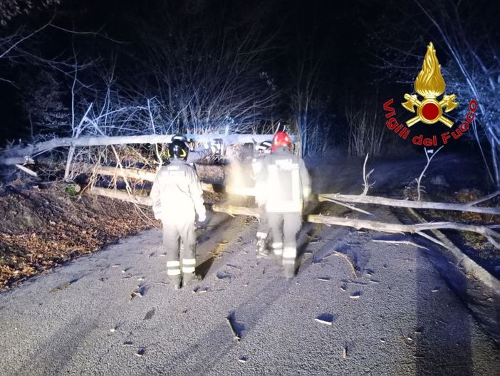 Il forte vento flagella il Varesotto, una trentina gli interventi dei vigili del fuoco Il forte vento flagella il Varesotto, una trentina gli interventi dei vigili del fuoco