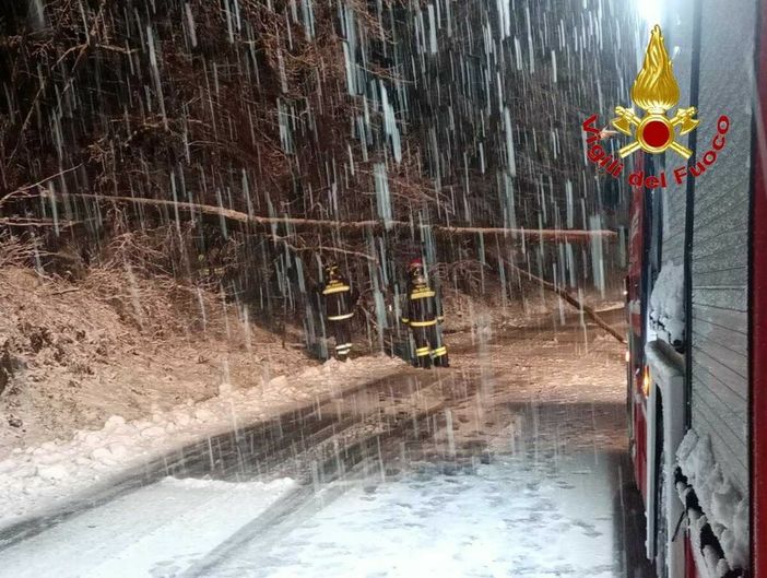 Forte nevicata nell'Alto Varesotto: disagi anche per il trasporto di Autolinee Varesine: «Statale della Valganna chiusa»