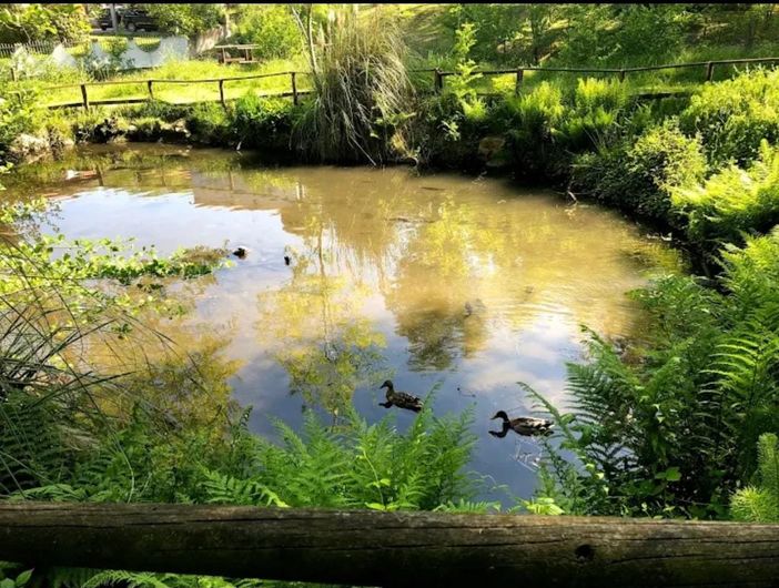 L'incubatoio ittico di Laveno Mombello a Ponte