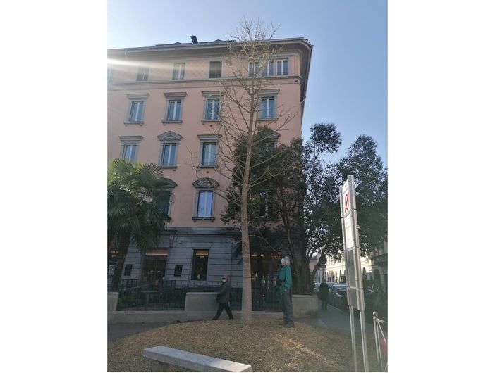 Il Piantino sta per "fiorire", tra una decina di giorni compariranno le prime foglie Il Piantino sta per "fiorire", tra una decina di giorni compariranno le prime foglie