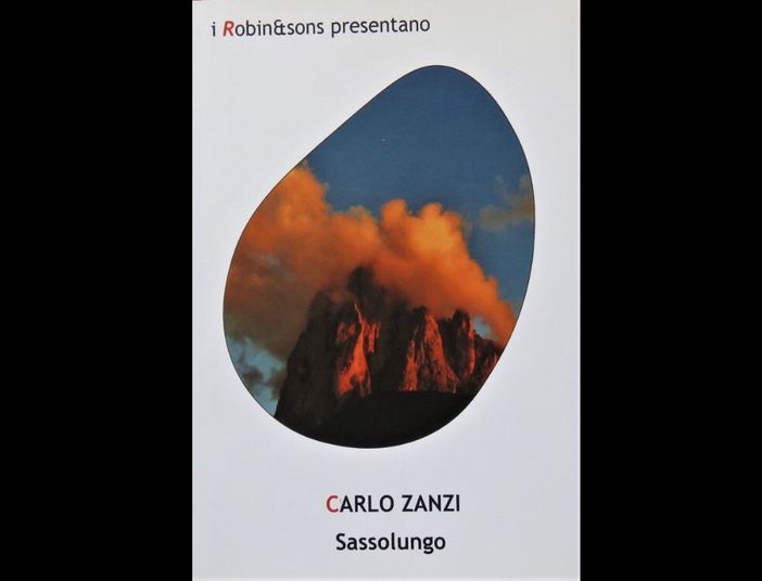 La copertina del libro di Carlo Zanzi